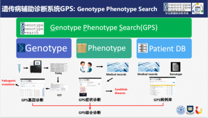 加速人工智能走深走实 升腾 AI与上海的“不解之缘”